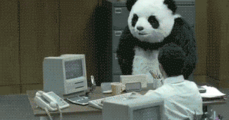 Panda enojado